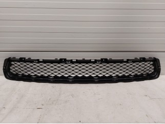 Lower Grille
